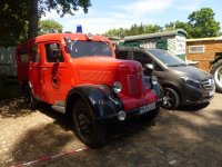 eup-1138211513-ff187acef0d0554b89849e563a6a5bd5-1752721290_big.jpg