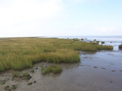 cuxhaven watt 1.jpg cuxhaven watt 1.jpg