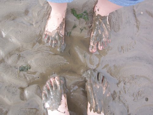 cuxhaven Füße im Watt.jpg cuxhaven Füße im Watt.jpg