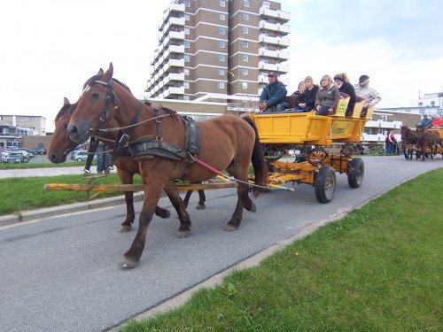 cuxhaven kutsche nach neuwerk.jpg cuxhaven kutsche nach neuwerk.jpg