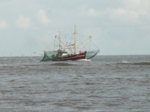 fischkutter cuxhaven.jpg fischkutter cuxhaven.jpg