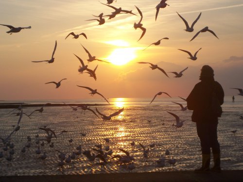 sonnenuntergang cuxhaven.jpg sonnenuntergang cuxhaven.jpg