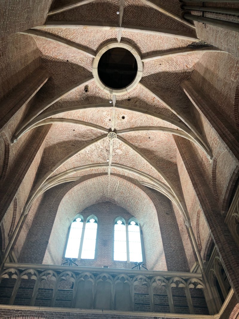 IMG_1474.jpeg IMG_1474.jpeg