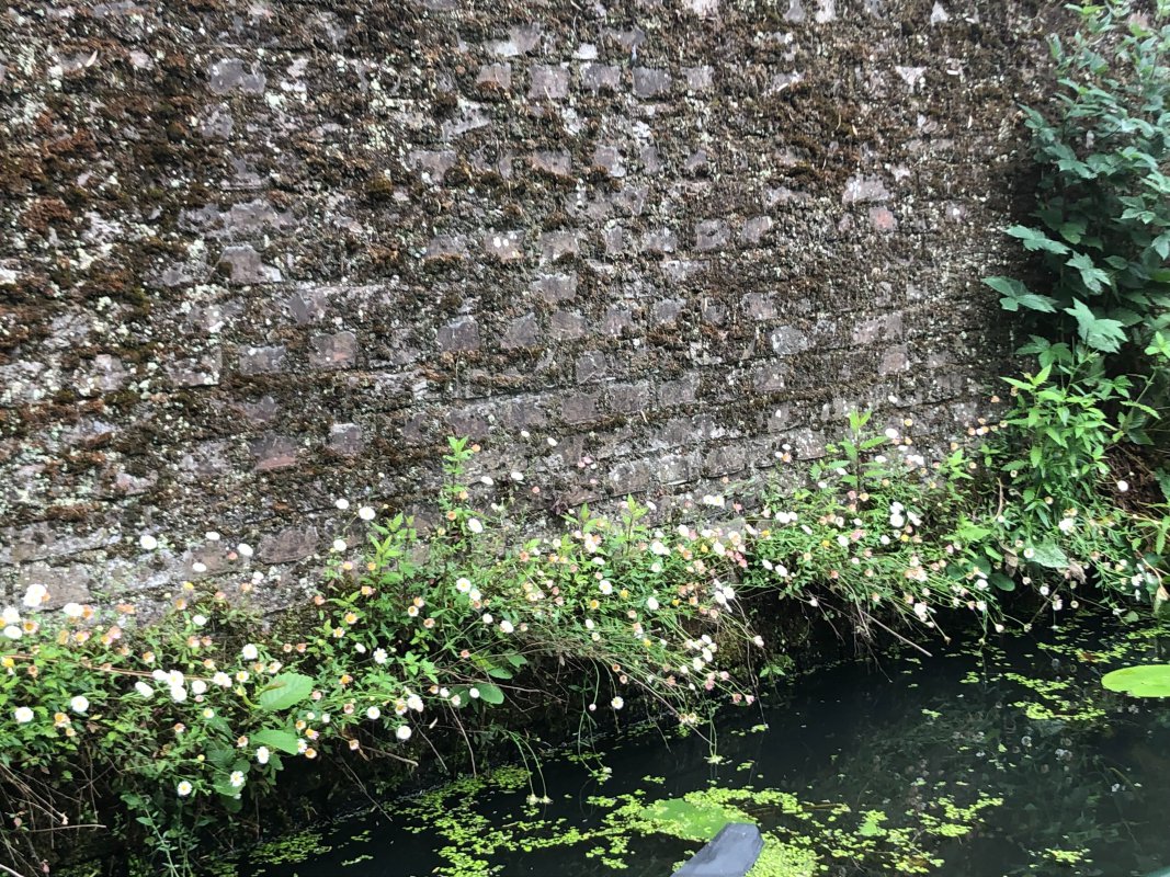 IMG_1624.jpeg IMG_1624.jpeg