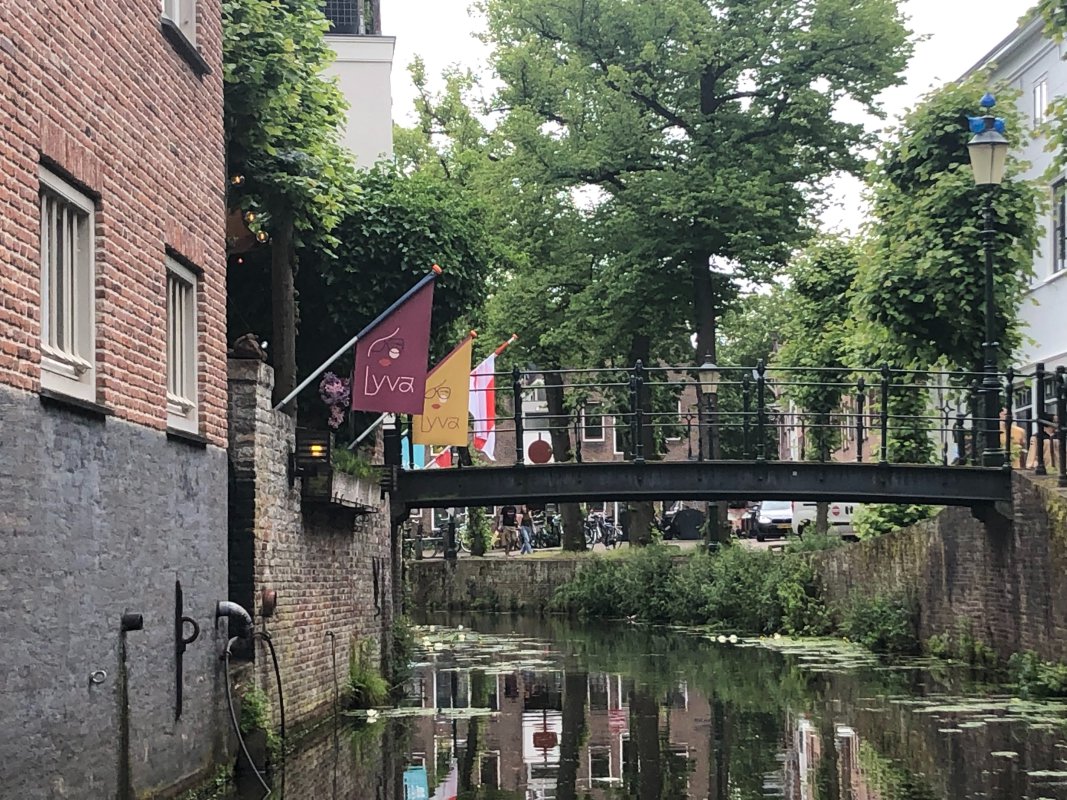 IMG_1634.jpeg IMG_1634.jpeg