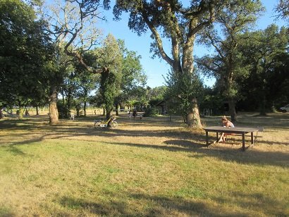 Camping du Toy 1.jpg