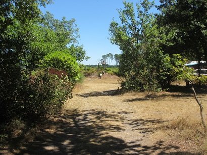 Camping du Toy 11.jpg