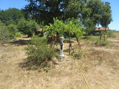 Camping du Toy 15.jpg