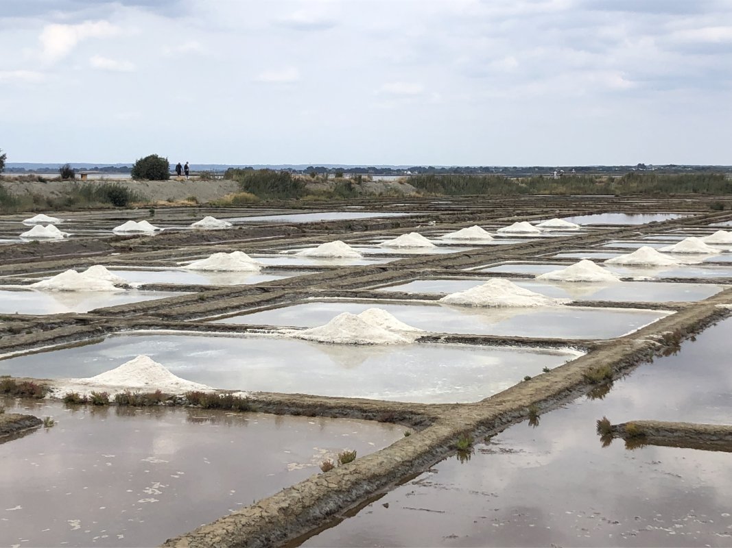 Saline de Truscat die einzelnen Becken Saline de Truscat die einzelnen Becken