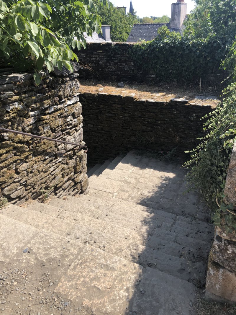IMG_4897.jpeg IMG_4897.jpeg