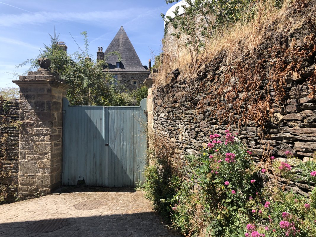 IMG_4901.jpeg IMG_4901.jpeg