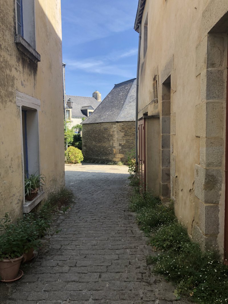 IMG_4919.jpeg IMG_4919.jpeg