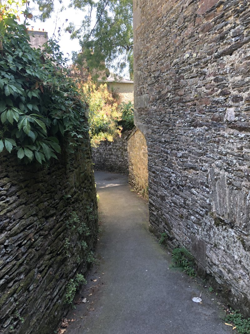 IMG_4935.jpeg IMG_4935.jpeg