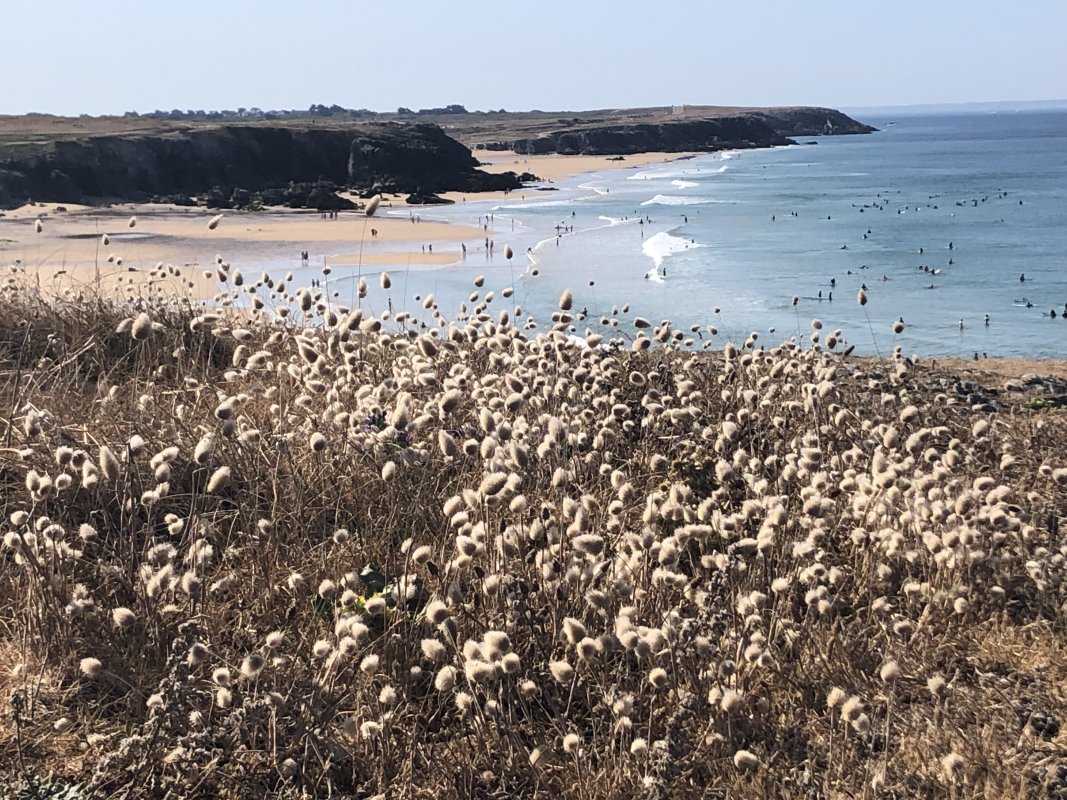 Quiberon Blick auf die Côte Sauvage Quiberon Blick auf die Côte Sauvage