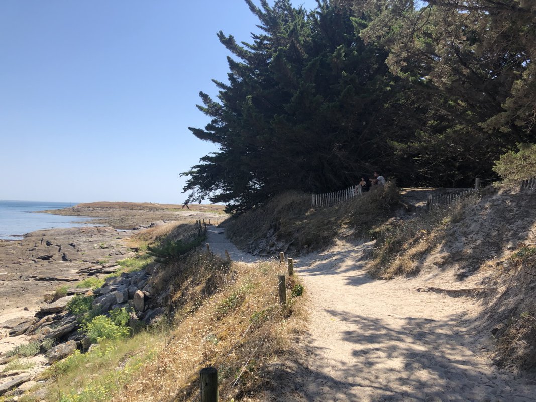 IMG_4169.jpeg IMG_4169.jpeg