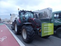 eup-1137122184-fc43d906b461ff80f5262af5142d6d13-1616545205_big.jpg