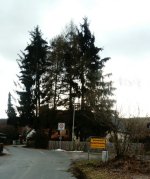 eup-1137091708-efdb29aa8f82236e6c0e7911934e9fae-1612466616_big.jpg