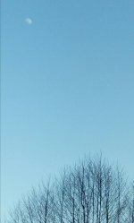 eup-1137122763-95b5a32579bded92c88dbb7d3f2319e3-1616629592_big.jpg