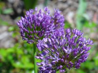 eup-1137162200-f3ad77700a549dc9c58bcb98b191e22a-1621863155_big.jpg