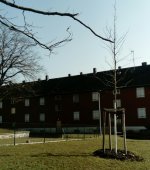 eup-1137120267-bba00eb95e311bf5c7f23856b91a07e7-1616260355_big.jpg