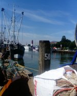 eup-1137375429-fa85811da56c94d7925b932825534e92-1657321104_big.jpg eup-1137375429-fa85811da56c94d7925b932825534e92-1657321104_big.jpg