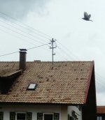 eup-1137343514-8558d511d5bd53daece8233b4aff6933-1651785057_big.jpg