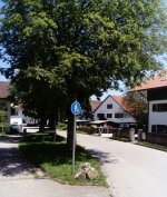 eup-1137357099-f1972a73a19ef0e61bd20d2af9a4495d-1654366483_big.jpg