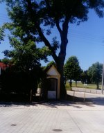 eup-1137361775-fe1e6bd84ebb11b0b45a5096fcb0237d-1655227311_big.jpg