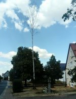 eup-1137397589-43fa563c9440aa7a889e87d8b40cde13-1660343880_big.jpg