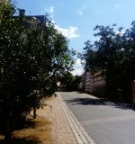 eup-1137397590-e45e41b65fdc888f998ae89a7169c2a4-1660344228_big.jpg