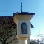 eup-1137529508-ec7bfc702dbd5d5953cd2677415fb1ab-1683927411_big.jpg
